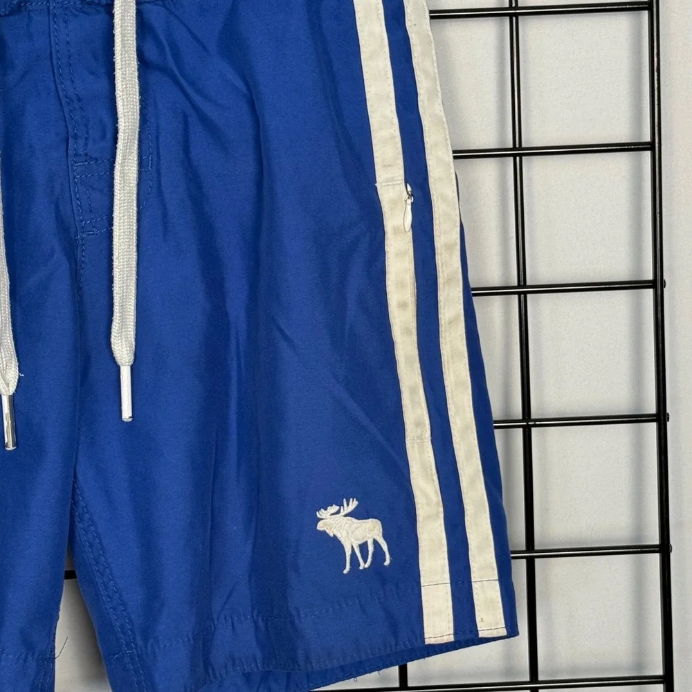 Abercrombie & Fitch Swim Trunks Mens Small Blue White Striped Board Shorts Y2K